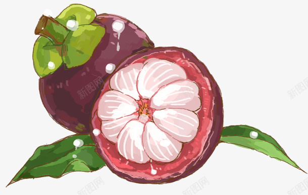 手绘装饰山竹水果元素psd免抠素材_88icon https://88icon.com 山竹 手绘山竹 手绘插画 水果 装饰图案 装饰水果