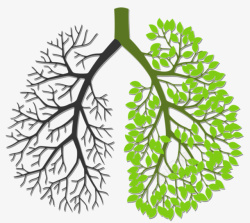 绿色身体请勿吸烟关爱肺健康高清图片