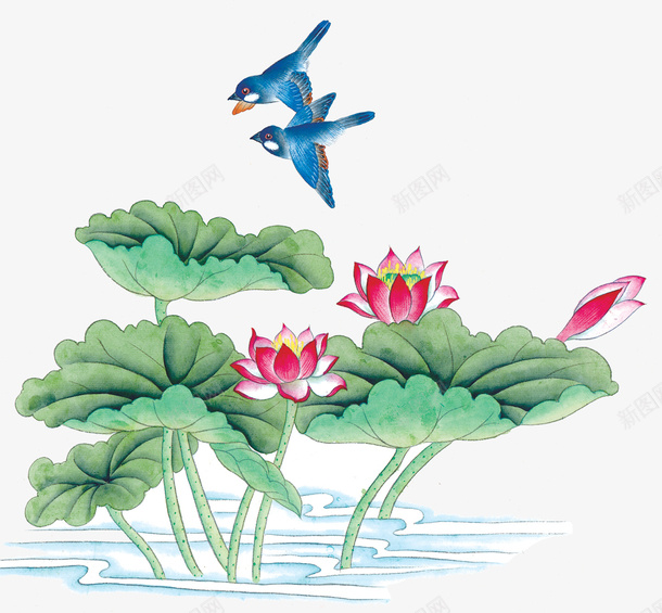 喜鹊莲花出水芙蓉png免抠素材_88icon https://88icon.com 喜鹊 芙蓉 荷花 莲花湖泊背景图片 连花