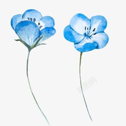 淡蓝色水彩花素材