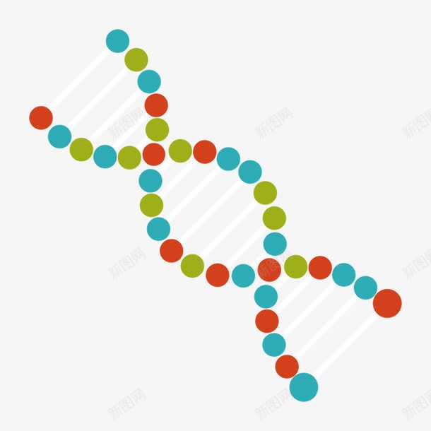 基因png免抠素材_88icon https://88icon.com DNA DNA双螺旋结构图片 DNA遗传基因 人类基因 医疗科学 基因 干细胞 生物学 细胞