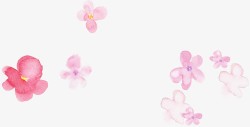 粉色春天花朵美景素材