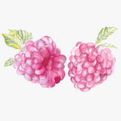 手绘晕染桑葚素材