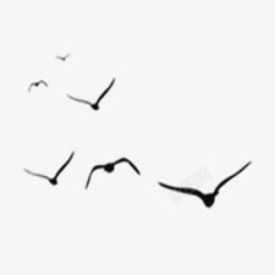黑色海鸥飞翔手绘装饰元素素材