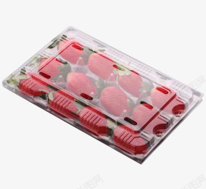 摄影一盒装草莓采摘图标图标