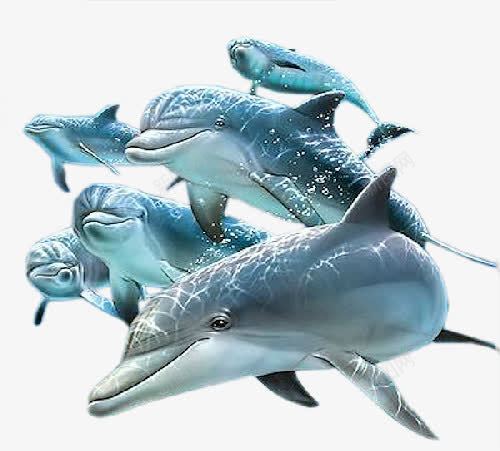鱼png免抠素材_88icon https://88icon.com 一群鱼 动物 海洋生物 海豚 重叠的动物