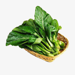 一篮子新鲜绿色菜心美食插图素材