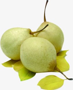 生鲜梨子蔬菜水果素材