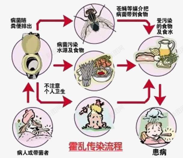 霍乱传染图png免抠素材_88icon https://88icon.com 宣传 霍乱传染图 预防