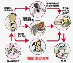 霍乱传染图素材