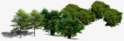 创意环境渲染效果绿色的大树素材