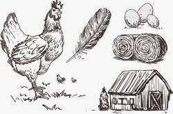 小鸡装饰画母鸡鸡蛋高清图片