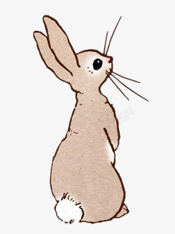 插画手绘兔子猫素材