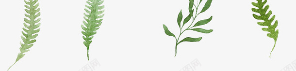 绿色植物树枝矢量图eps免抠素材_88icon https://88icon.com 手绘 树枝 植物 绿色 矢量图