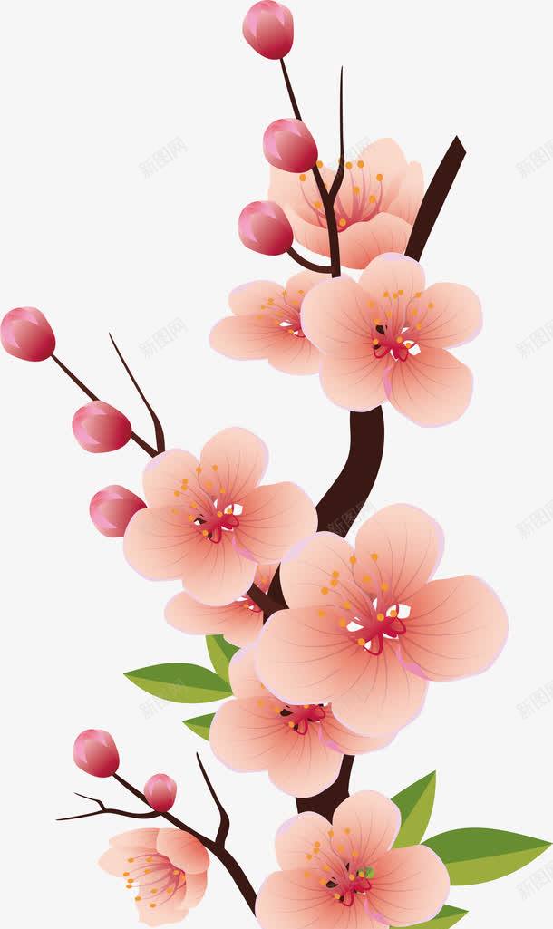 美丽的花png免抠素材_88icon https://88icon.com 春天 春天小清晰 春天植物 春天矢量 春天装饰 植物 美丽的花