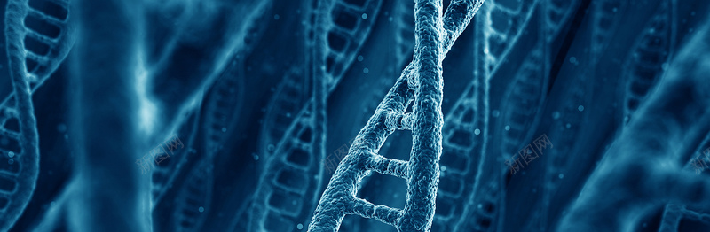 3D螺旋状DNA结构背景