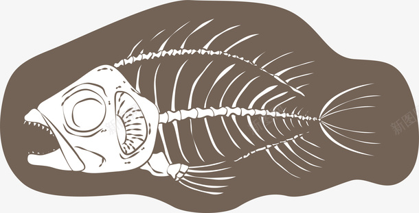 褐色背景化石鱼骨png免抠素材_88icon https://88icon.com 化石 卡通鱼骨 古老的鱼骨 白色鱼骨 矢量鱼骨 褐色背景 鱼刺 鱼刺骨头 鱼骨图