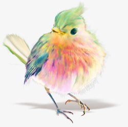 手绘彩色羽毛卡通小鸟动物素材