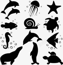海豚海马海鱼剪影矢量图素材