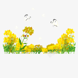 黄色春季美丽花朵花丛素材