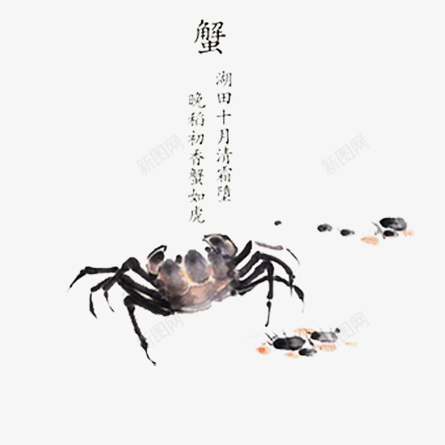 水墨画蟹png免抠素材_88icon https://88icon.com 中国风 大闸蟹 广告设计 水墨画 水墨蟹 美食 螃蟹 蟹 蟹宣传 蟹文化 设计