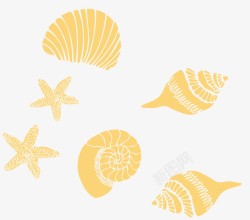 海螺与沙滩图片黄色的海边物品高清图片