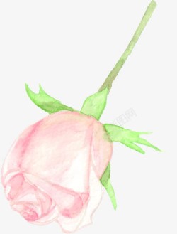 粉色玫瑰唯美婚庆展板素材