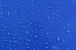 蓝色羽毛上的水滴图片蓝色水珠背景高清图片