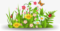 花丛中的蝴蝶绿色美丽花丛高清图片