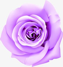 创意合成手绘紫色的玫瑰花素材