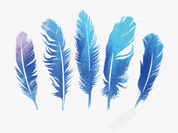 蓝紫色的五个羽毛矢量图素材