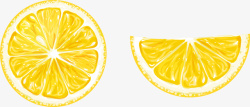 手绘柠檬切片矢量图素材