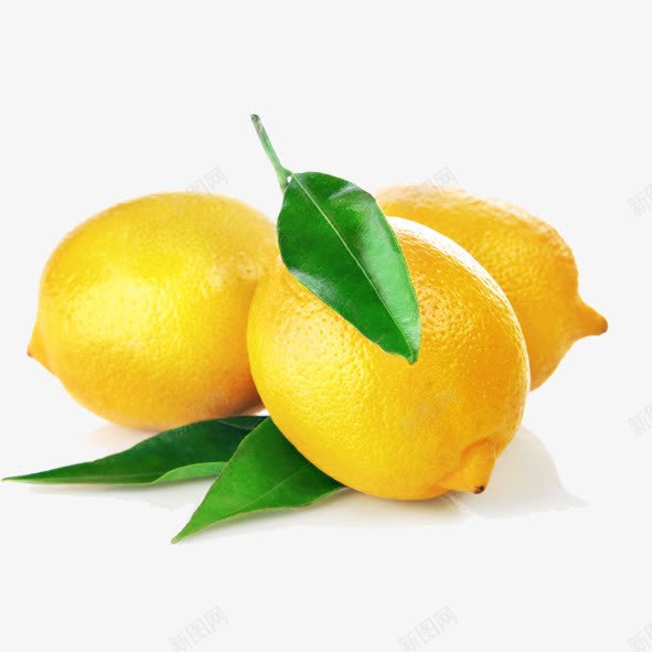 三个柠檬绿叶png免抠素材_88icon https://88icon.com 柠檬 绿叶