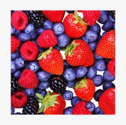 草莓蓝莓树莓水果素材