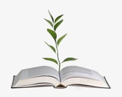 绿色书壳长着植物的书本高清图片