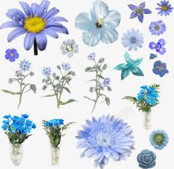 蓝色菊花展板素材