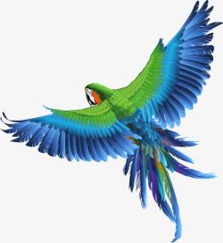 仿真彩色鹦鹉飞翔的鹦鹉高清图片