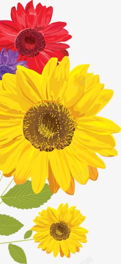 彩色手绘水彩向日葵花朵素材