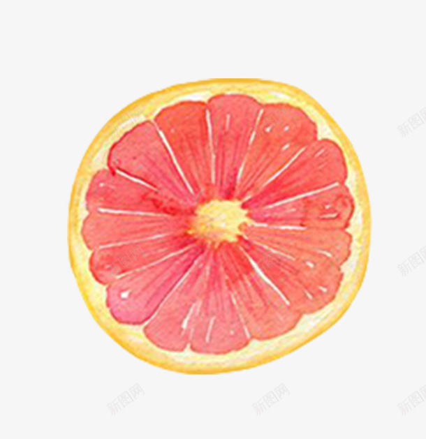 切开的红色柚子简图png免抠素材_88icon https://88icon.com 切开的 切面 圆形 手绘图 果肉 柚子 水果 美味的