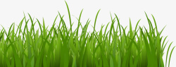 春意盎然绿色草丛素材