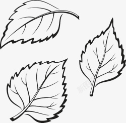 矢量树叶叶脉黑色手绘叶子线条高清图片