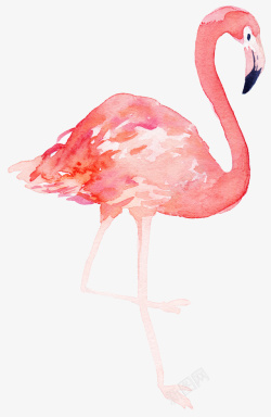 小清新鸟类素材粉红色的火烈鸟手绘高清图片