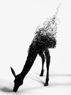 抽象艺术鹿黑白抽象艺术鹿高清图片