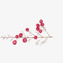 小清新简约水彩手绘红色果子树枝素材