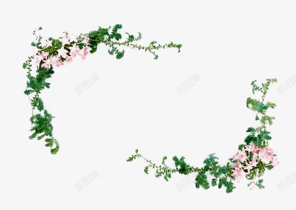 蔷薇小粉花边框png免抠素材_88icon https://88icon.com 免扣视频框PNG 蔷薇画 蔷薇花边框 藤蔓边框 视频框