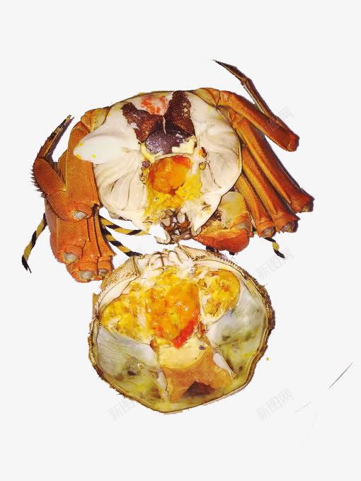 大闸蟹png免抠素材_88icon https://88icon.com 海鲜 美食 蟹黄