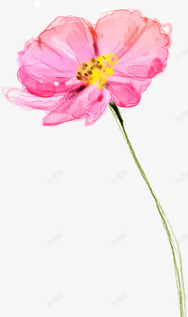 手绘粉色花卉水彩画展板png免抠素材_88icon https://88icon.com 展板 水彩画 粉色 花卉