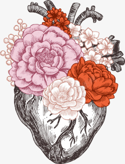 心脏抽象示意图手绘彩色花卉心脏高清图片