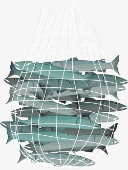 撒网立体海鱼捕鱼渔网高清图片