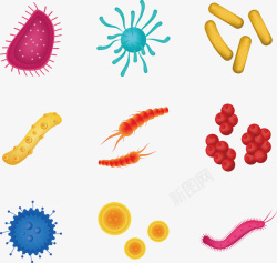微生物图片素材下载各种形状的五颜六色生物高清图片
